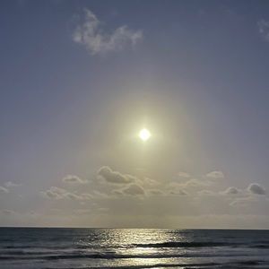 Meet your Posher, Lara